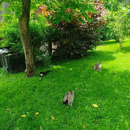 Апартаменты Lidija